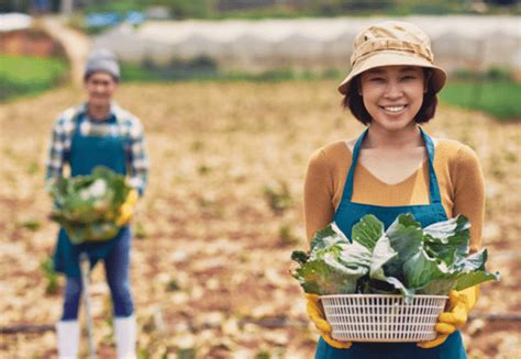 contact us – Thailand's smart farmer .